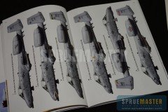 A-10-Osprey-005