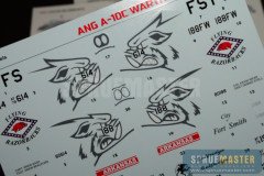 A-10C_004