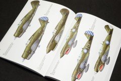 Aces China Osprey   003.jpg