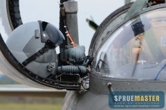 afa-2013-012-jpg