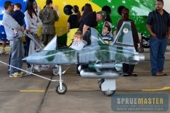 afa-2013-146-jpg