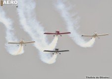 AFA-2014--202