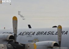 AFA-2014--206