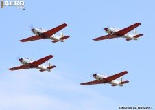 AFA-2014--208