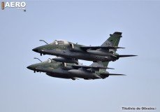 AFA-2014--209