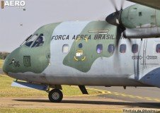 AFA-2014--213