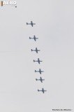 AFA-2014--215