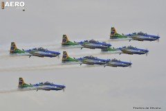 AFA-2014--218