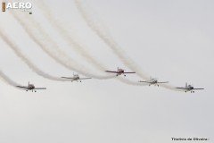 AFA-2014--221