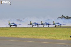 AFA-2014--223