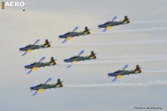 AFA-2014--224