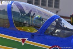 AFA-2014--225