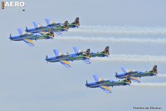 AFA-2014--227