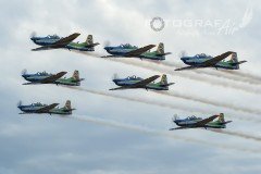 AFA-2014--302