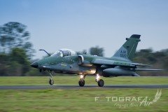 AFA-2014--305