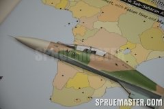 african_mig_03