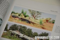 african_mig_05
