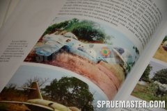 african_mig_06