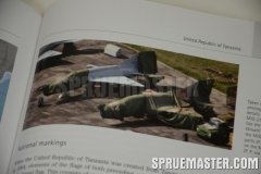 african_mig_08