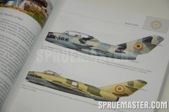 african_mig_10