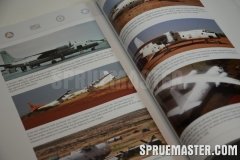 african_mig_11