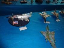 DSC02778 (Copy)