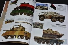 Arab-border-warsr-003