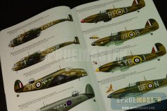 Battle of Britain  03