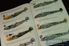 Battle of Britain  05
