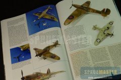Battle of Britain  07