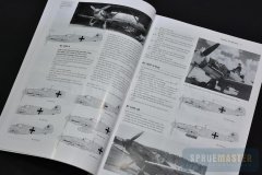 BF-109-Valiant-Wings-02