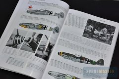 BF-109-Valiant-Wings-04