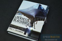 Blackbird- 01