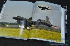 Blackbird- 05