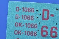DG-1000-019