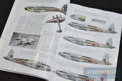 DH-Mosquito-03