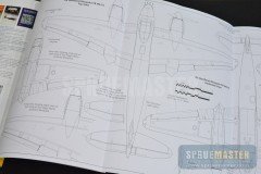 DH-Mosquito-08