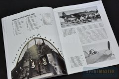 Do-335-09