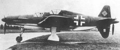 Do335-29