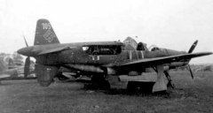 Do335-29f