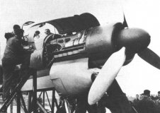 Do335-V1-2af-s