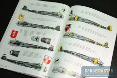 DO17z  005.jpg