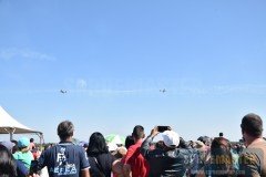 EDA65anos-89