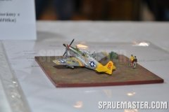 e-day_2011_0029