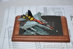 e-day_2011_0036