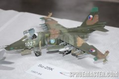 e-day_2011_0071