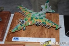 e-day_2011_0155