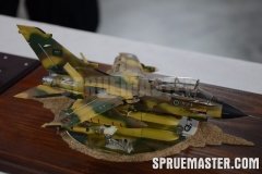 e-day_2011_0165