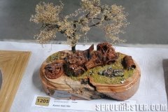 eday_2011_militaria_118