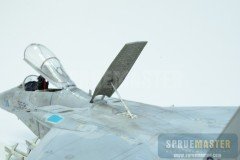 F-15J- 114